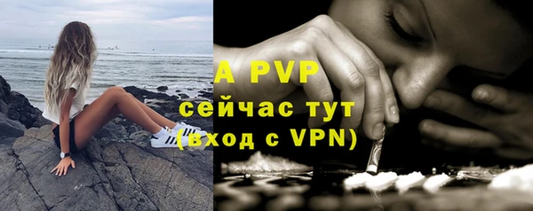 марки nbome Дмитриев