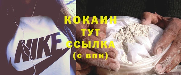 тгк Дмитров