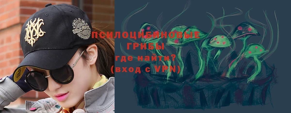тгк Дмитров