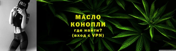 тгк Дмитров
