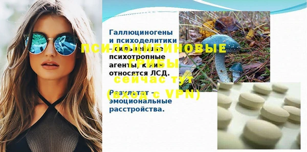 тгк Дмитров