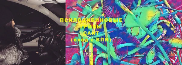 PSILOCYBIN Дмитровск