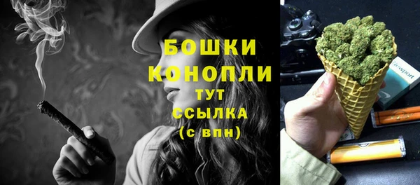 тгк Дмитров