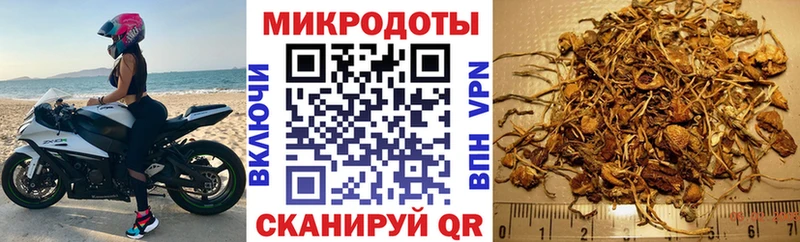 даркнет сайт  Красногорск  kraken ссылки  Галлюциногенные грибы Psilocybine cubensis 